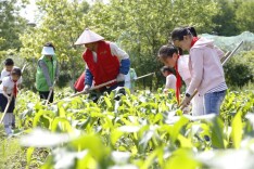 “种田”也能评职称？湖南让“泥腿子”变身“土专家”