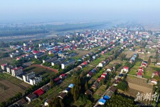 北景港镇：稻虾富百姓 良田耕丰饶