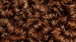 江华：红薯粉制销忙