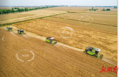 教科书级“慧”种田！ 这个基地入选全国智慧农业典型案例