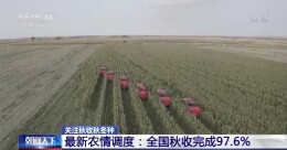 全国秋粮已收获12.7亿亩，完成97.6%