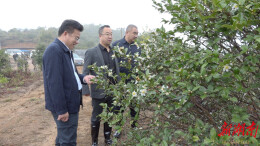 国家林草局防火司来我县检查森林防火工作