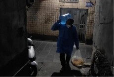 逆行而上，日夜坚守，做好封控区的“守护者”——凤凰县沱江镇疫情防控封控区工作记录