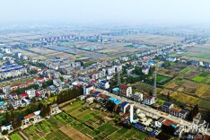 治河渡镇：稻香鱼肥蔬果足 农旅观光效益丰