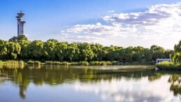 奥林匹克森林公园、朝阳公园即日起闭园