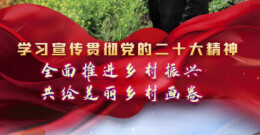 郴州临武：全面推进乡村振兴 共绘美丽乡村画卷