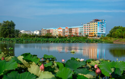 鹤龙湖镇：农旅齐织振兴景 最是蟹肥虾美时