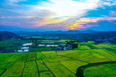 含浦街道：山水为屏勤作画 农旅绘就满城春