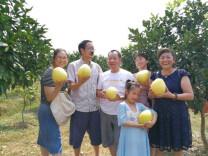 邵阳大祥区：一路“柚”你 “甜蜜”产业助推乡村振兴