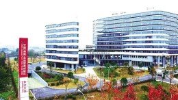 湖南自贸试验区：加快“标准”建设工作 助力“湘品”出“湘”闯世界