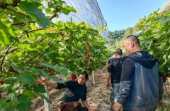 绥宁县：“选训管用”齐发力 “淬炼全能”主力军