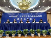 长沙加快打造“一带一路”沿线国家及地区中小企业合作高地