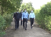 张大方来安调研中药材产业