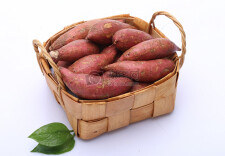 湖南消费帮扶走出新路子 今年已销售帮扶农特产品超110亿元