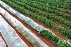 寒潮来袭 科学防范