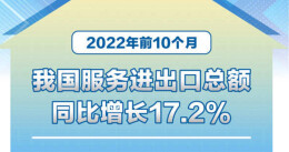 前10个月我国服务进出口总额同比增长17.2%