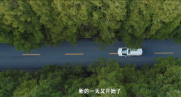 税收公益广告——我在