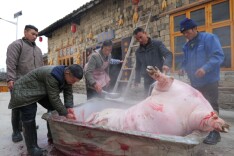 凤凰县菖蒲塘村红色农家院：杀年猪，熏腊肉，土家苗寨年味浓