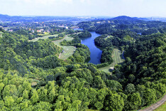 青竹湖街道：湖光山色铺旖旎风景 桃林缤纷蕴诗和远方