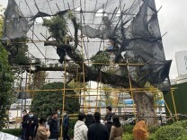 践行人和自然和谐共生的现代化 马栏山守护绿色生态 保护园区古树资源