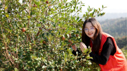 乡村振兴丨唐宇：愿做大山里的一颗星