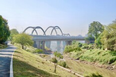 芦淞石峰荷塘携手 护好白石港一江碧水