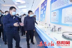 快讯丨陈飞率队来岳巡查长江湖南段河长制落实并调研重点项目建设