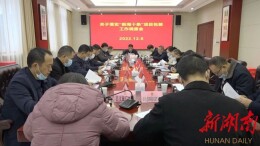 我县召开落实新“湘十条”项目包装工作调度会：坚决扛牢责任使命 用好用足用活政策