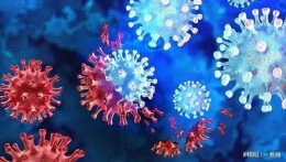 北京流行毒株比广州更“毒”？专家解读