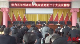 十进十联十讲丨黄力到永乐江镇宣讲党的二十大精神