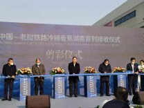 中老铁路首列冷链香蕉班列“抢鲜”抵长