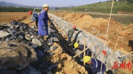 永乐江镇：大力推进高标准农田建设 打造万亩烤烟大镇