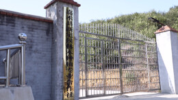 郴州嘉禾：小小油茶助农增收