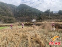怀化新晃：实施2.7万亩高标准农田土壤改良与培肥示范点建设