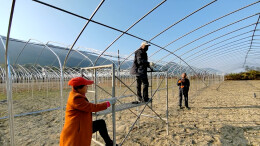 双牌：搭建防冻大棚 保障瓜果蔬菜安全越冬