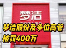 未按规定披露非经营性关联交易，梦洁股份及高管被罚400万元