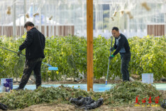 湘西吉首：打造智慧农业 助推产业发展