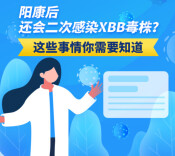 【科普动起来】图解|阳康后还会二次感染XBB毒株？这些事情你需要知道