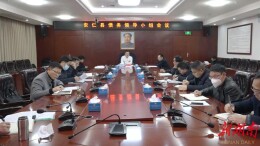 全县债务领导小组会议召开