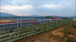 江华打好组合拳 构建“引、育、用、留”全链条人才发展体系