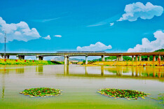 暮云新村：绿心深处迎来发展新光 村新业兴携手踏歌前行