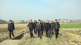 王洪灿调研高标准农田项目建设工作