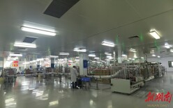 稳中求进开新局 | 春节“不打烊” 企业生产忙