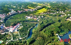 岳阳经开区：不负青山 逐绿前行