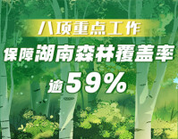 政策简读丨八项重点工作 保障湖南森林覆盖率逾59%