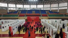 辰溪纪念湘西剿匪胜利70周年书画摄影奇石展开幕