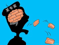 央视评年轻人越来越反感专家