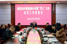 我县召开GDP基础指标分析暨“四上”企业培育工作推进会