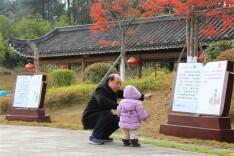 靖州：“廉”花盛开 润心无声