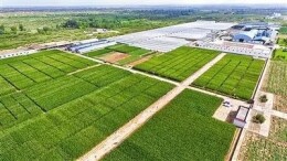 吨粮田、异宠、庭院经济首亮相 中央一号文件出现这些“新面孔”